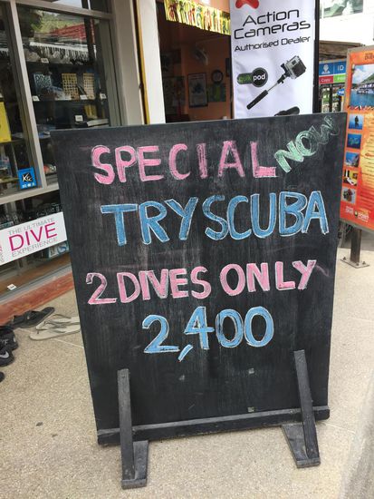 Zwei Versuchstauschgänge (für die man keinerlei Vorkenntnisse braucht, die wichtigsten Dinge bekommt man inkl. Übungen im Pool in etwas einer Stunde erklärt) auf 8-10 Meter für 65 EUR. Wahnsinn, wobei das der billigste Angebot dieser Art war. Bei einer Padi Tauschschule kosteten zwei Tauchgänge freche 85 EUR 