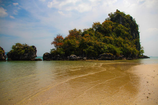 Das Gestrüpp / Die linke "Insel" vom vorletzten Foto