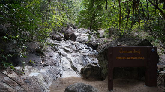 Viel spannender als der Wasserfall war das Kreischen des Waldes ringsum