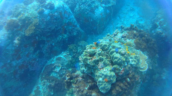 Green Rock - weiter oben