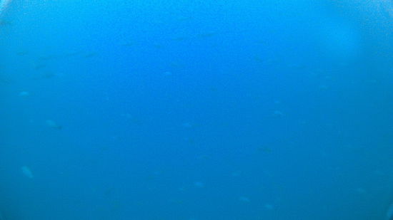 Green Rock - weiter unten