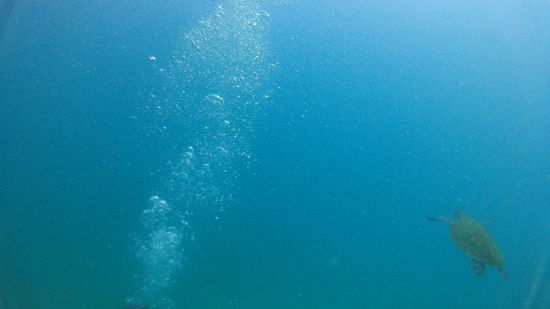 Und da tauchte auf einmal die Namensgeberin der Insel vor uns auf 