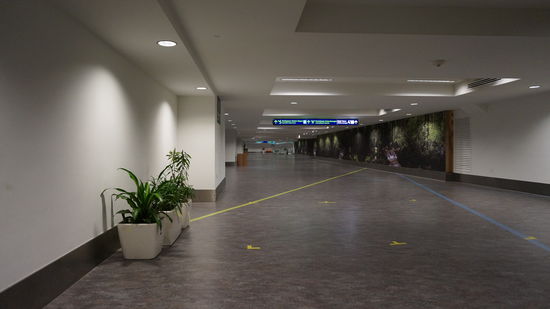 Auch wenn's nicht so ausschaut, es sind tatsächlich ein paar Leute mit nach Langkawi geflogen.