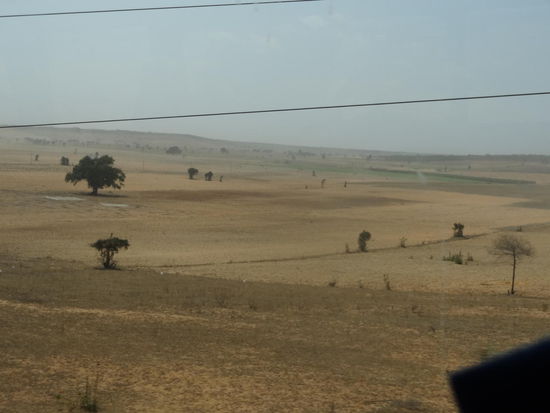 Weg sind die Reisfelder