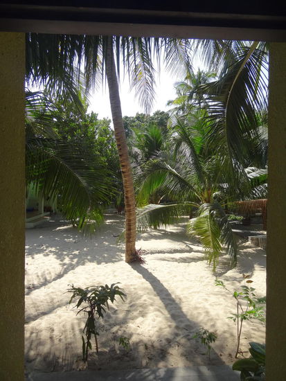 Ausblick von unserer Tür