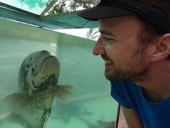 Best Friends Forever