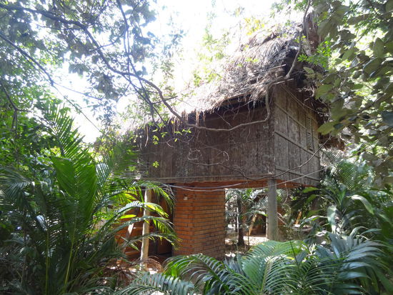 Unser 6 Dollar - Bungalow