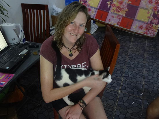 Süßeste Katze der Welt