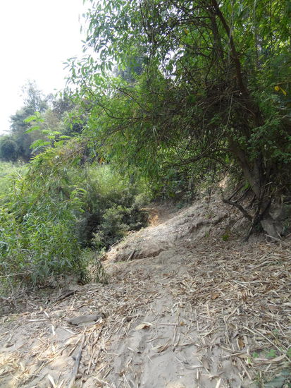 ......ist doch eine ganz wunderbare Straße hier