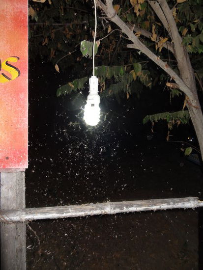 Die Sonnenuntergangsplage....