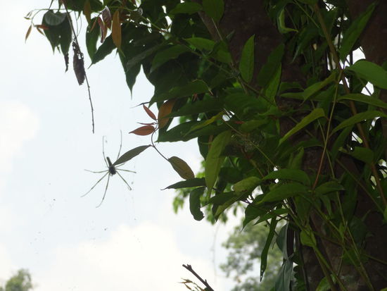 Handteller... Minimum...