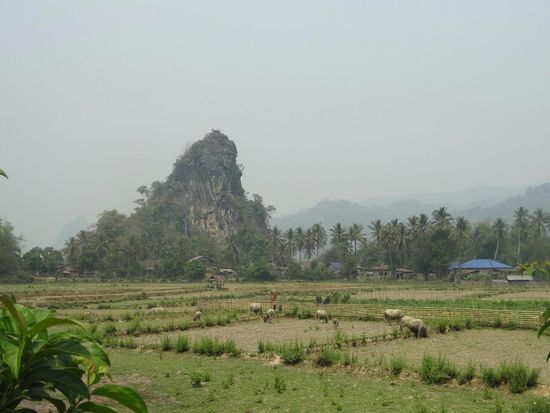 Wenn nicht der ganze Rauch von der Brandrodung wäre, wäre es nochmal so schön!