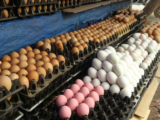 Ist denn schon Ostern?