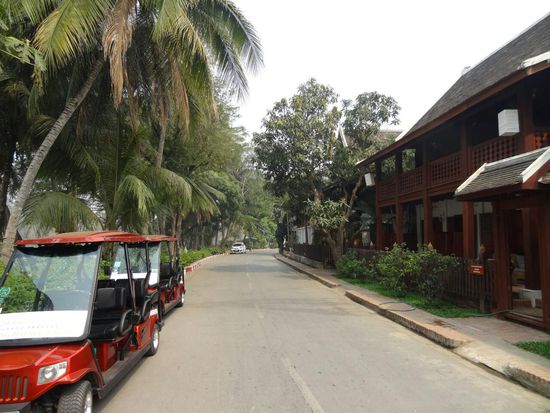 Typisches Straßenbild, palmengesäumte Straßen...