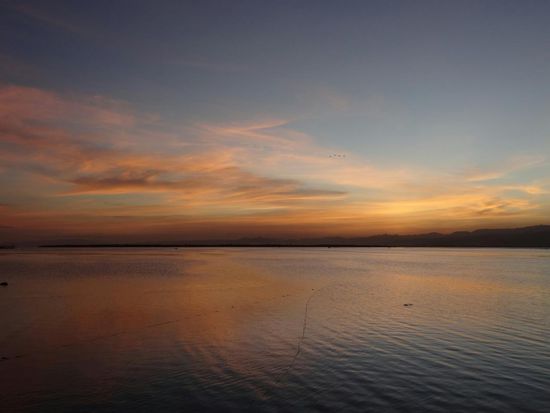 ...In den schillerndsten Farben...