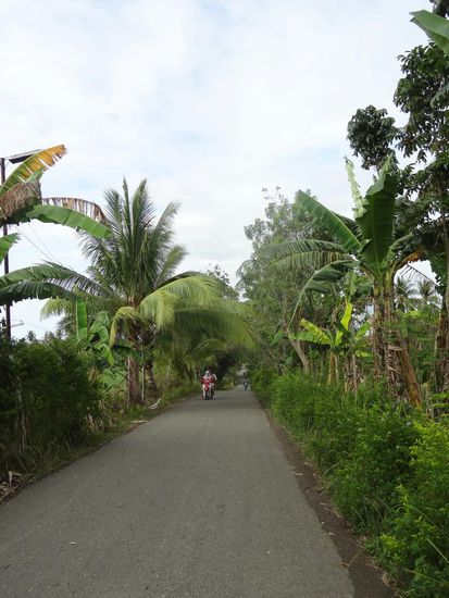 Palmengesäumte Straßen im Paradies