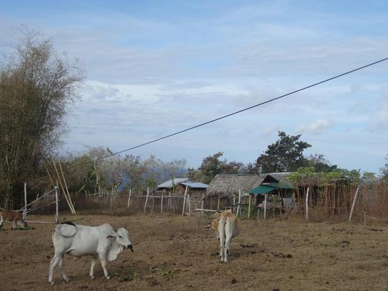 Philippinische Almweide,  auch nicht so viel Unterschied