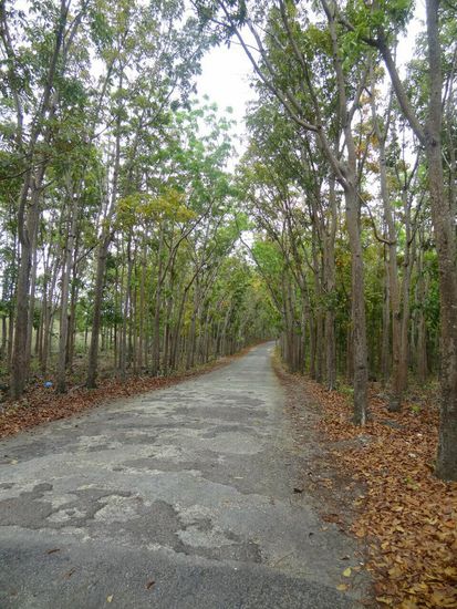 Fast schon österreichisch....