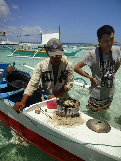direkt im Wasser gibt es hier Seafood BBQ (wobei ich noch immer nicht genau weiß, was ich da gegessen habe )