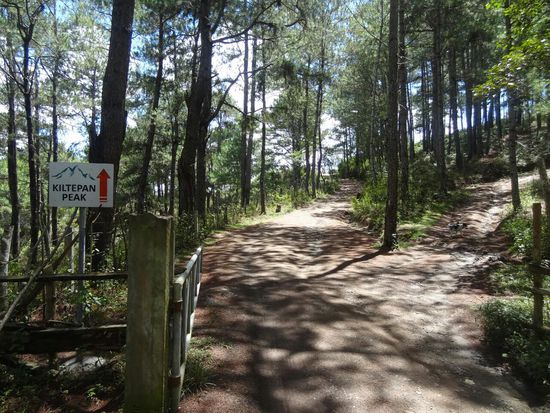 Am Weg zum vormittags verlassenen Sonnenaufgangspunkt