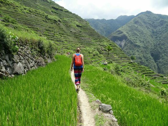 Wandern zwischen Reisfeldern