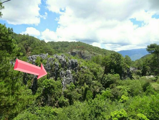 Auch hier sind Särge versteckt