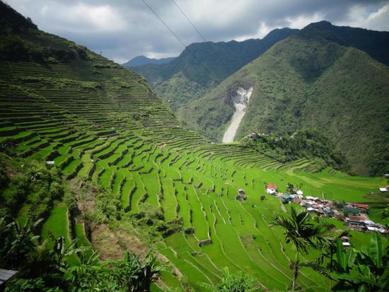 Reisterassen von Batad, ein Weltkulturerbe
