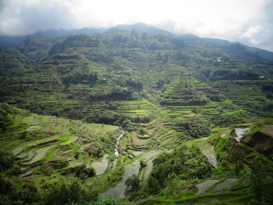 Banaue Reisterassen