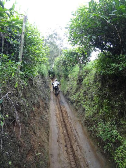 Beim Trekking zum Gunung Papandayan, aus geplanten 3 Stunden wurden hier glatt mal 6 Stunden Wandern