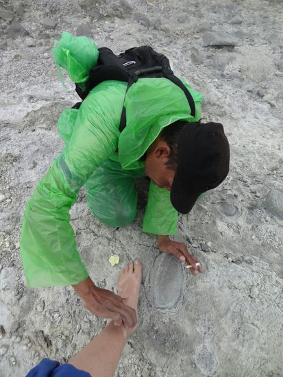 Und verabreicht sogar Spezial-Moskitostichbehandlung...leider hats nichts geholfen..nett war er aber trotzdem!