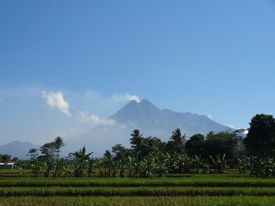 der Gunung Merapi,  einer der gefährlichsten Vulkane der Welt. Beim Ausbruch 2010 forderte er das Leben mehrerer hundert Menschen, die an seinen Hängen lebten und sich einer Evakuierung widersetzten. Alle 4 Jahre bricht dieser Vulkan laut den Anwohnern in unterschiedlicher Intensität aus