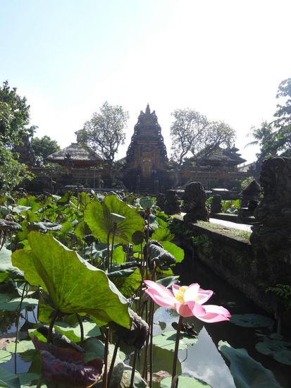 Lotossee in Ubud