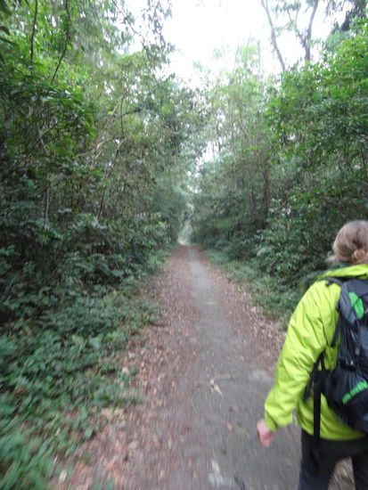 Der erste Anschein trügt...