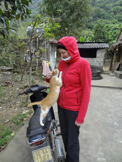 ...zu süßen (flohfreien) Miezen...