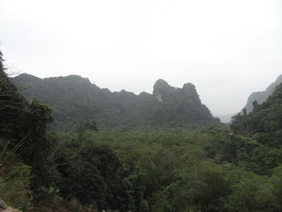 ...quer über Cat Ba Island.