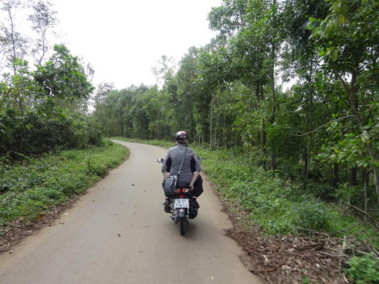 Am Moped durch die Gegend kutschiert - rechts und links der Straße immer wieder Weidetiere, wovon auch ab und an mal eine durch eine Landmine in die Luft fliegt...ein offensichtlich akzeptabler Verlust