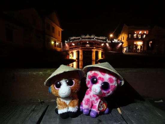 Japanese Covered Bridge - das kleine Wahrzeichen der Stadt