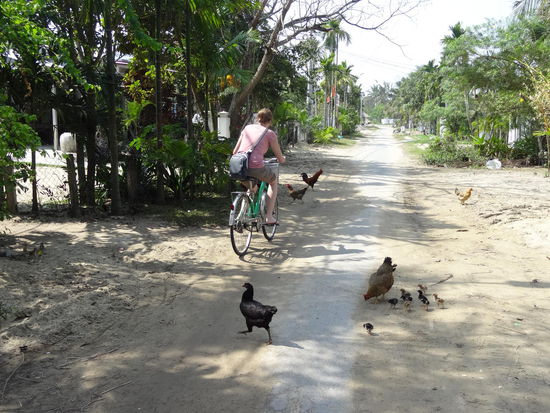 Wegblockaden der etwas anderen Art