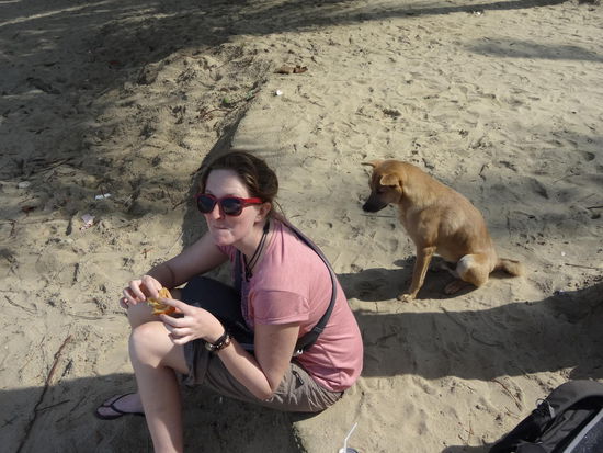 Neue Freunde sind schnell gefunden