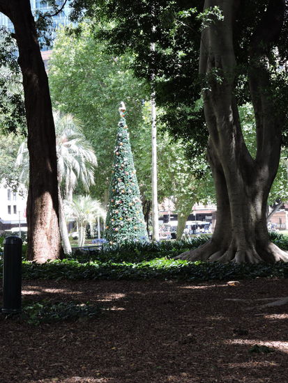 Weihnachtsbaum im Hyde-Park