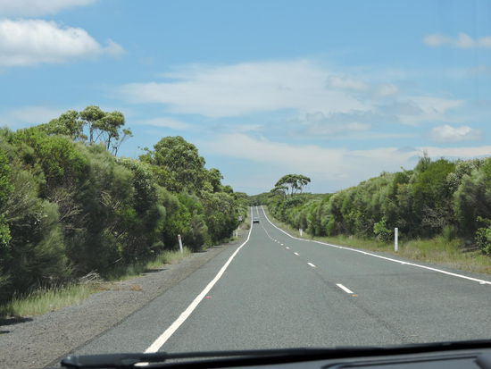 Fahrt durch den Royal NP.