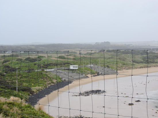 Tribünen für die allabendliche Piguinparade