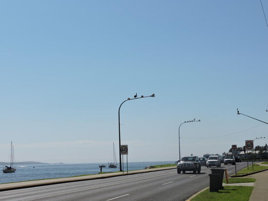 Uferseite in Bateman's Bay