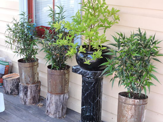 Deko vor der Haustür