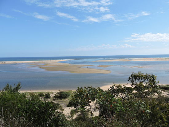 Flussmündung Snowy River