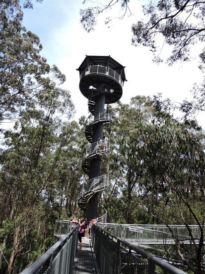 Schwindelfrei sollte man schon sein