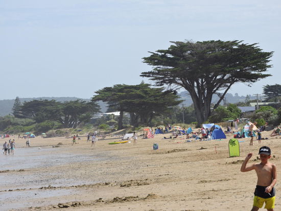 Strand von Apollo Bay