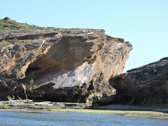 Von Hunden bewachte Insel