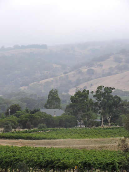Leider total schlechtes Wetter im Barossa Valley