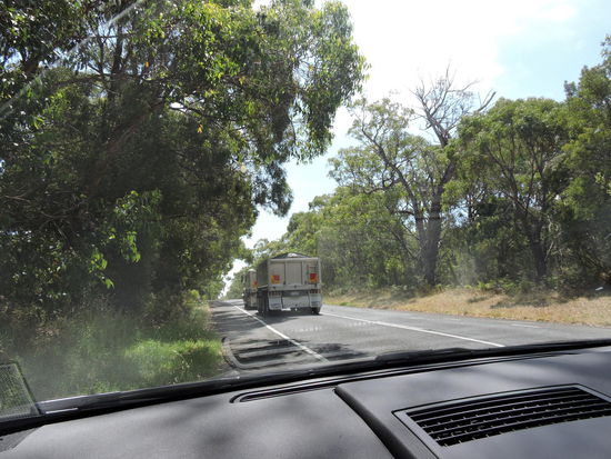 Die Trucks rasen an uns vorbei, so manches Känguruh sehen wir tot am Straßenrand